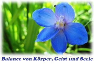 Koch Energiearbeit - Balance von Körper, Geist und Seele